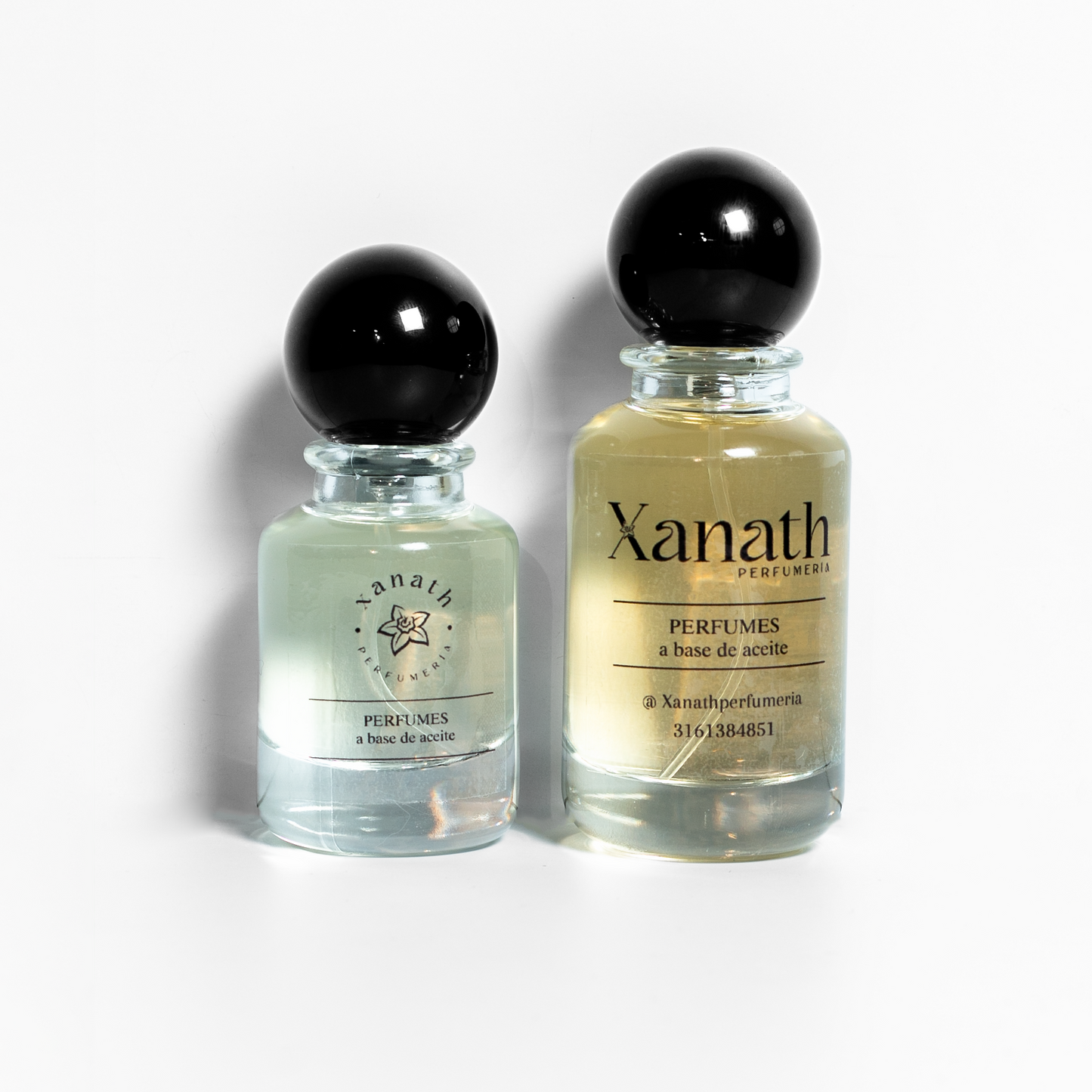 A224 INSPIRADO EN AHLI CORVUS