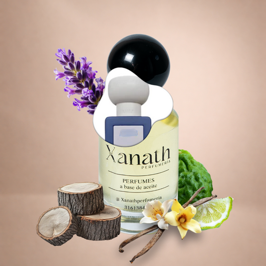 OSLO INSPIRADO EN AHLI PEGASUS